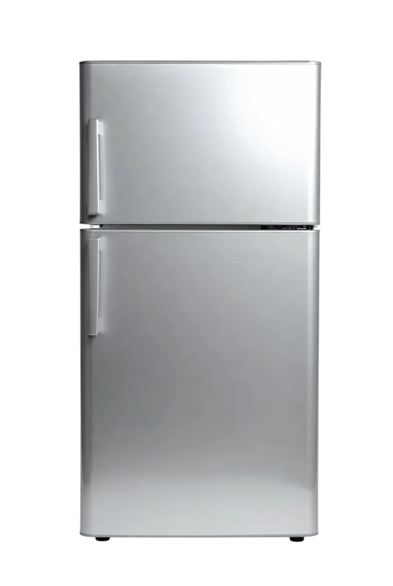 Fridge repair service